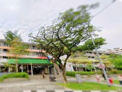 Hong Kah Ville (D22), Shop House #589560491